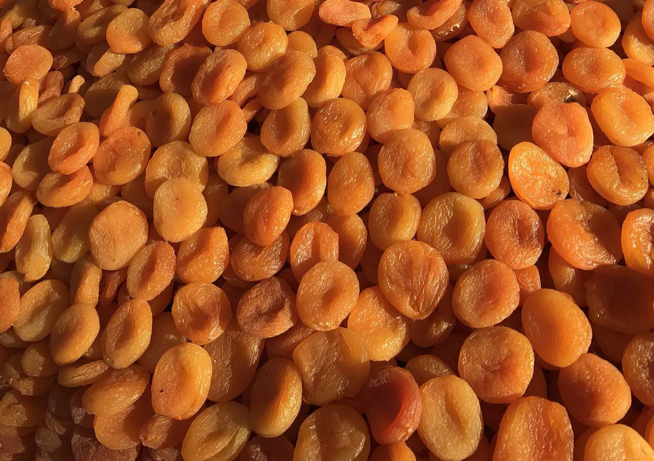 Abricots secs de Malatya